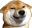 GoodBoi Discord emoji