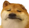 SadDoggo