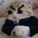 angybuisnesskitten