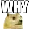dogewhy