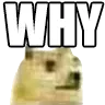 dogewhy dogewhy