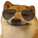 dogeglasses