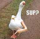 sup
