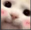 blurp