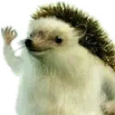 Hahayes hahayes Discord Emoji