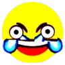 angryCryLaugh