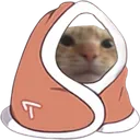 CIswagcatnf1 CIswagcatnf1