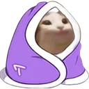 CIpopcatnf2 CIpopcatnf2