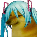 mikucheems mikucheems