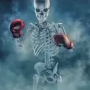 fight fight