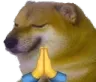 doge_pray