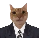 MrBusiness