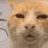 huhcat