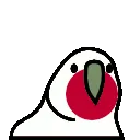 japanParrot