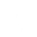 org_ZetaDivision Discord Emoji