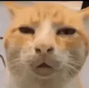 wat