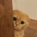 peek