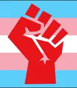 TransUnite