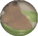 emoji_333