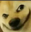 luchu