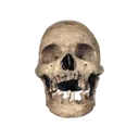 skull2