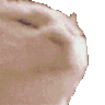 DancingRainbowCat