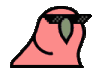 DancingRainbowBird