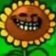 TrollFlower