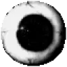 gaze