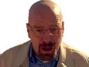 walter_NOOOOO