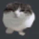 WawaCatStatic