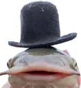 Gentlemen