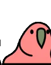 BirdParty