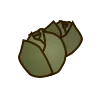 Cabbage