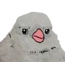 aBird aBird