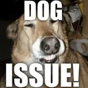 DogIssue