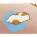 PA_lloro PA_lloro