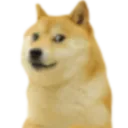 doge Discord Emoji