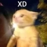 xdmichi_FDB Discord emoji