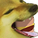 Borgerdoge Discord Emoji