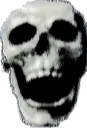skull2wtr