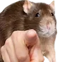 ratyou