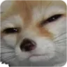 SUS