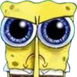 MAJ