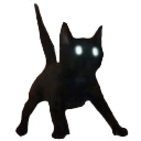 scared_cat scared_cat