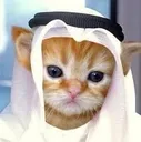 Halalcat halalcat Discord Emoji