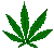 weed