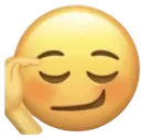 shysmirk shysmirk