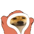 dogeComfy dogeComfy