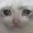 sadcat Discord Emoji